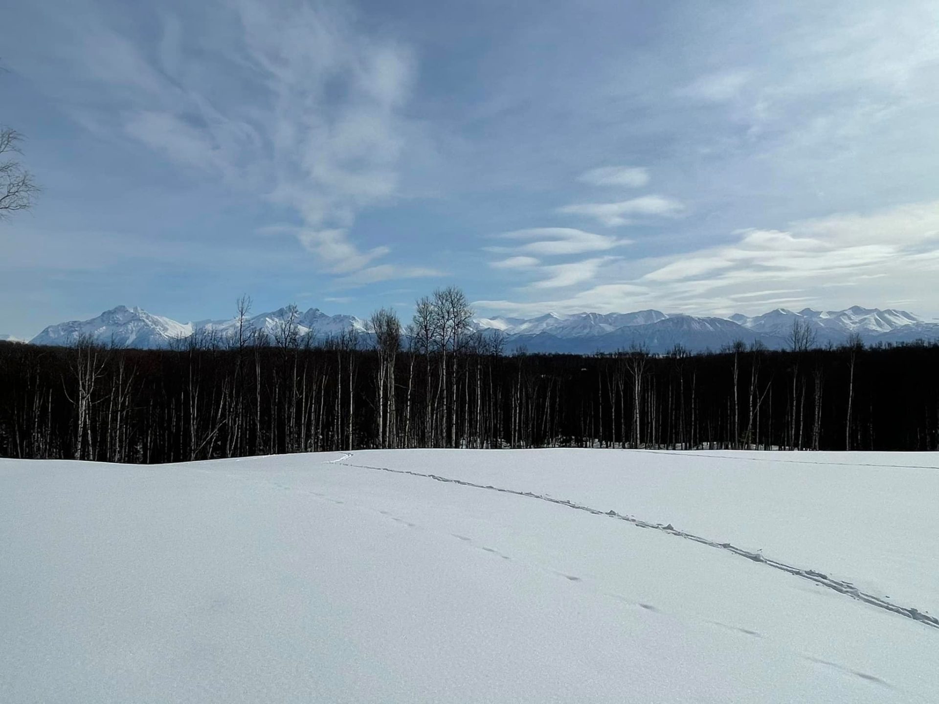 property with mountain view near wasilla
