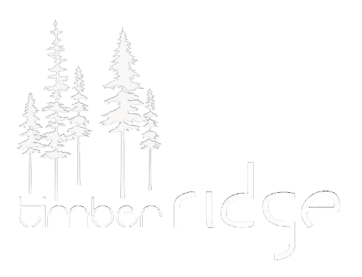 timberridge solutions no solution futuristic logo light